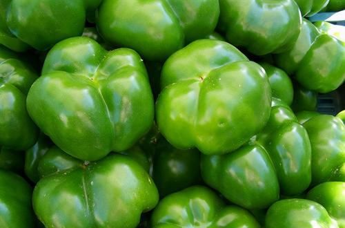 寒冷冬季，要堅持吃三種食物，補氣養血，增強抵抗力，身體棒棒噠