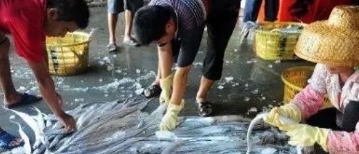 买带鱼时,遇到这3种带鱼,聪明人扭头就走,鱼贩子坦言:遇到行家了