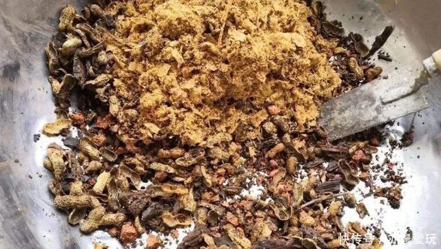 养花|养花也是门技术活，瓶瓶罐罐当花盆，各种废料当花肥，方便实用