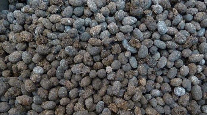 发酵鸡粪、羊粪、蚯蚓粪,到底该选哪一种?看完终于不再迷惑了