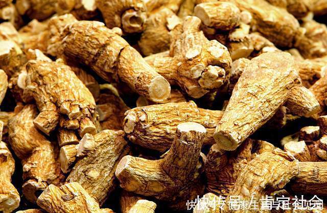 补气|中医补气有三宝:黄芪、人参、西洋参!告诉你怎么用