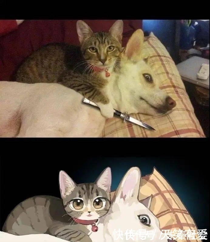 小动物|现实中的小动物漫改成二次元后是什么样?太有故事性了吧!