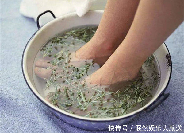 中年|什么是“节节草”老人用节节草泡脚，十几年的老问题轻松解决