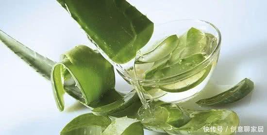 养花|不管你养不养花,3种花,总要养1盆,能缓解疲劳,还能杀病菌