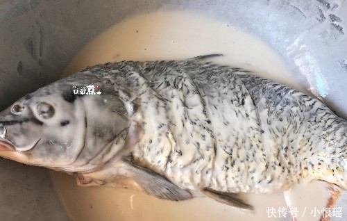 宁可不吃肉,也要多吃鱼,教你一道糖醋鱼新做法,酸甜酥脆特好吃