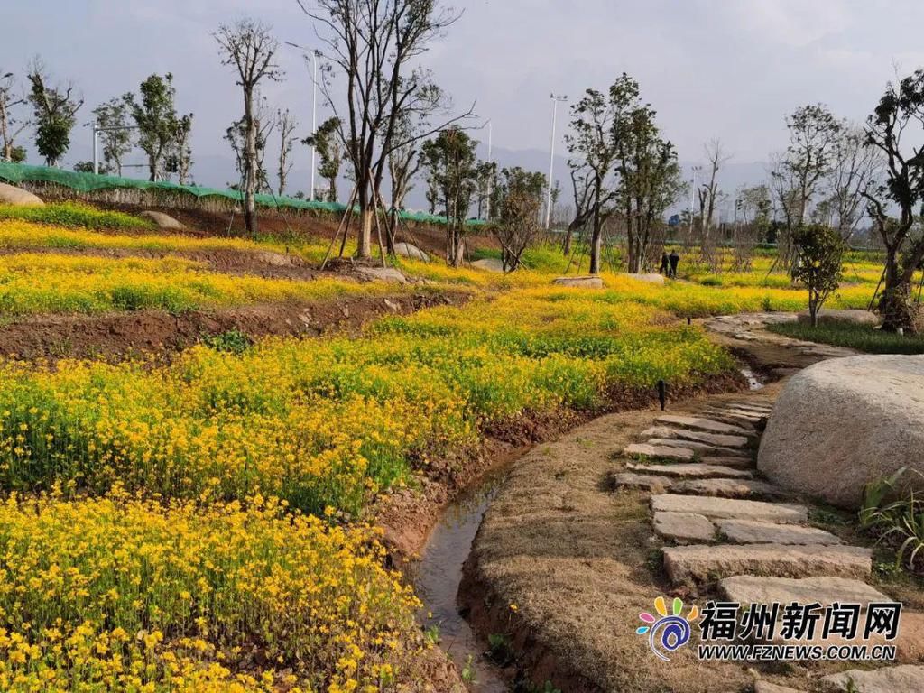 老年|假期余额不足，快去赏花！（附攻略）
