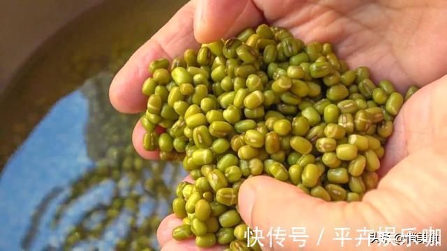 卫生|家庭自制绿豆芽，教你5个小秘诀，豆芽4天就能吃，安全卫生又营养