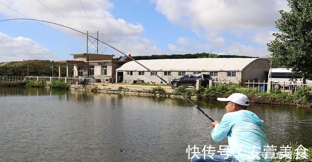 散炮|收费鱼塘钓鱼,掌握5个知道,3条垂钓技巧,多钓鱼不难