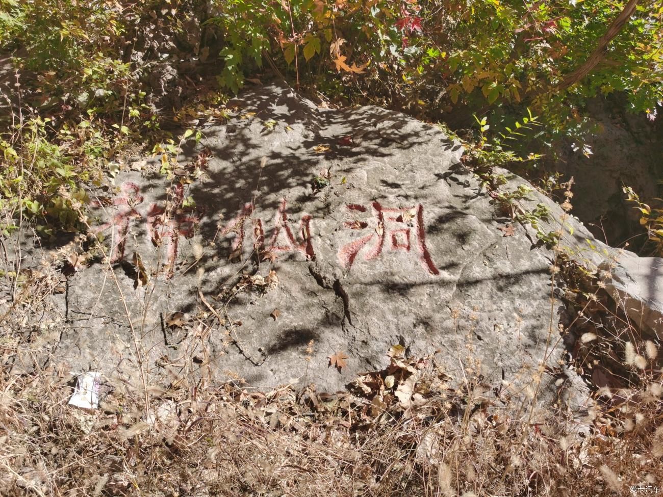 旅行|沃们去旅行——山上风景独好（二）