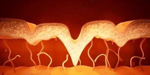 不懂“热玛吉”的人,千万别急着“入坑”