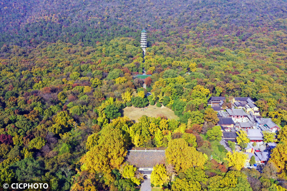 江苏|江苏南京：初冬钟山景如画