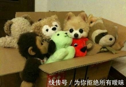 |搞笑图片幽默段子笑话:这颗树还有几分人的样子呢,挺奇特的哦