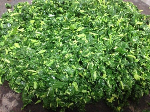 芹菜|秋天包饺子,韭菜芹菜靠边站,一斤2块钱,多汁鲜香全家都喜欢!