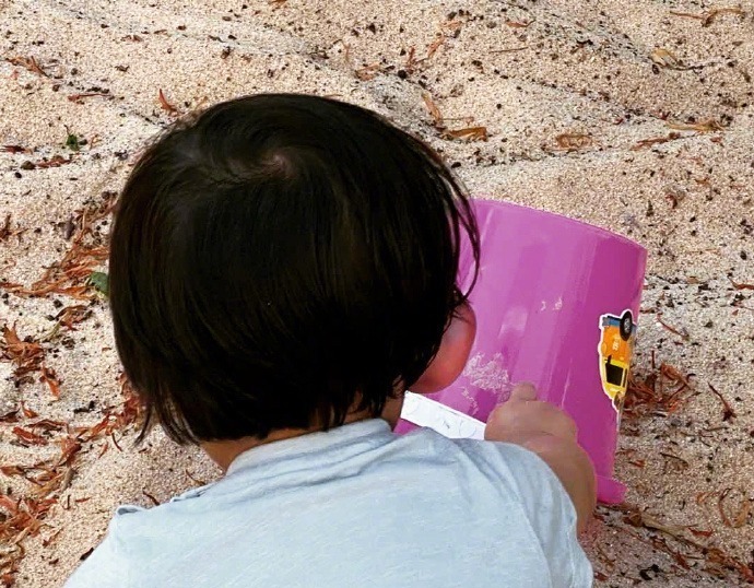 張歆藝曬餃子和兒子玩的照片,夸餃子是個好姐姐