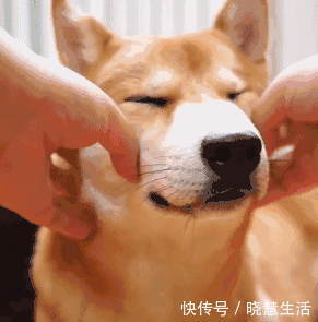 失眠|常吃这几种水果,一觉睡到天亮不失眠,省下无数补品钱!