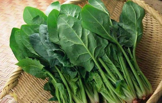 红枣|吃胡萝卜、红枣、菠菜能补血辟谣效果都不好,告诉你补血吃啥