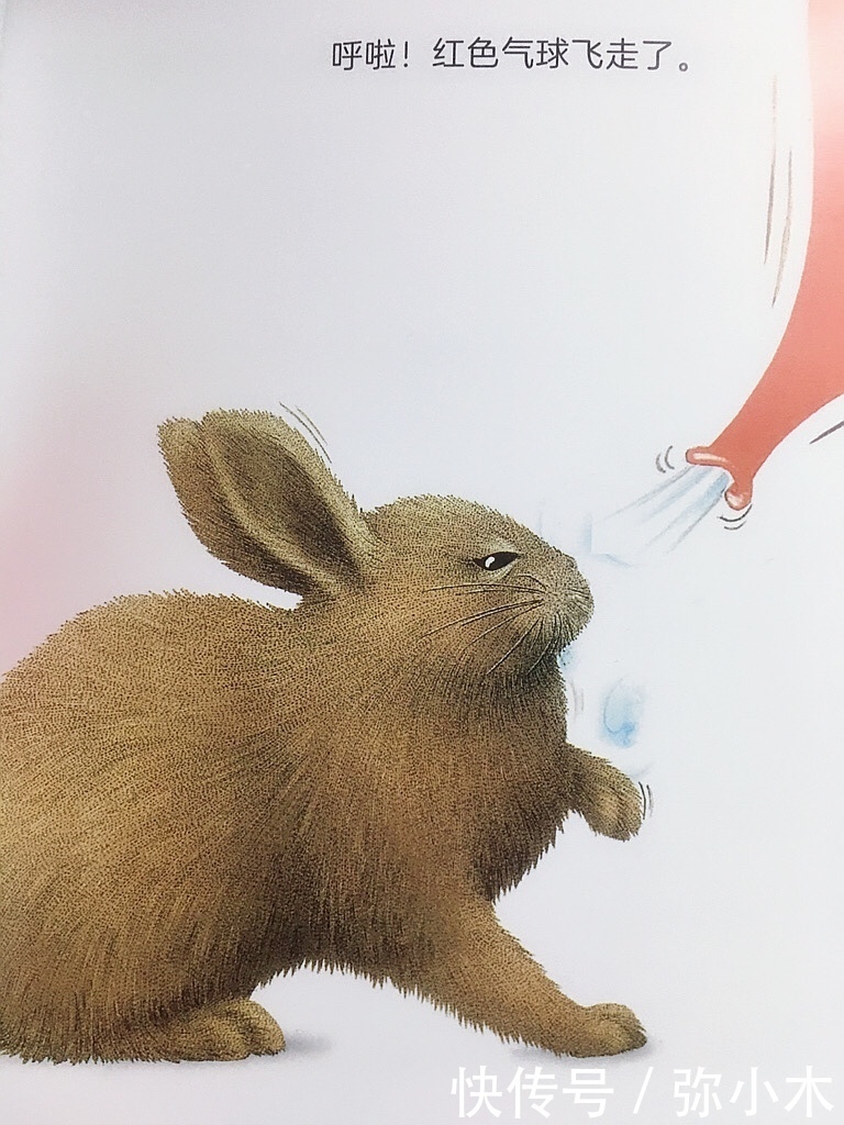 “妈妈,快来看,这几本书实在太好笑了”孩子喜欢的,才是硬道理