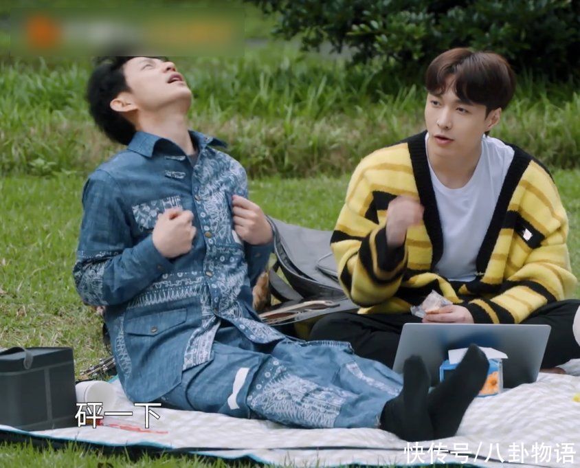 何炅|蔡徐坤钻被窝速度火了,被何炅在《向往5》里模仿,堪称神还原