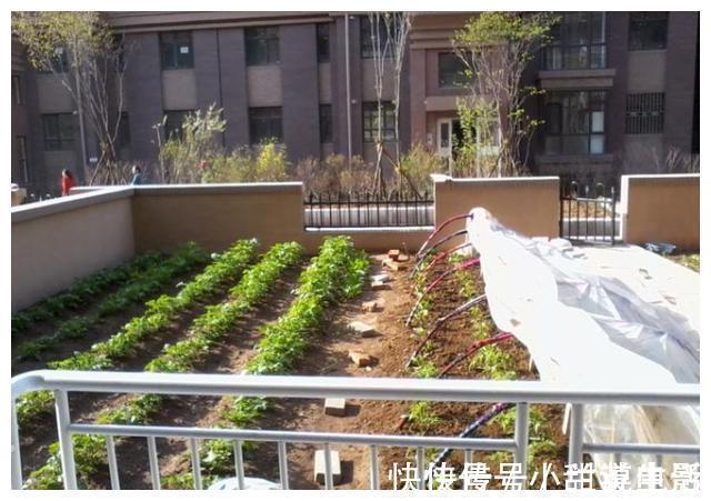 电梯|为什么如今1楼的房价比其它楼层高?4大好处,让你恍然大悟