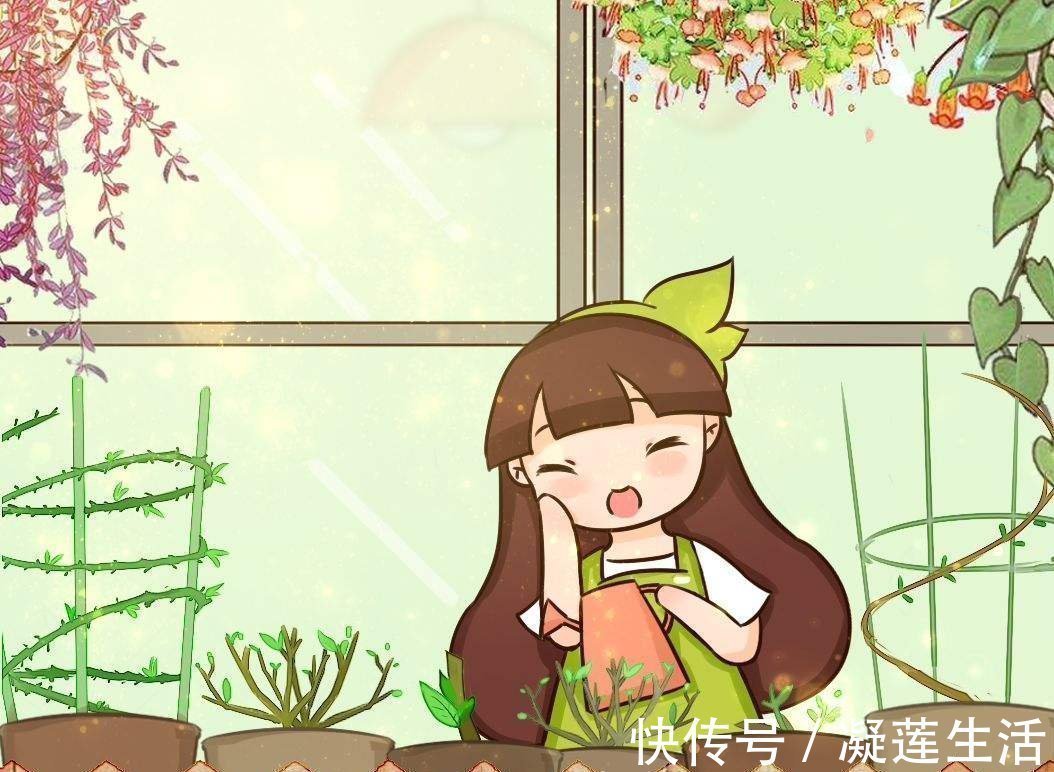 养花浇水,这4个错别犯,否则养啥花都黄叶、烂根,学会一生受用