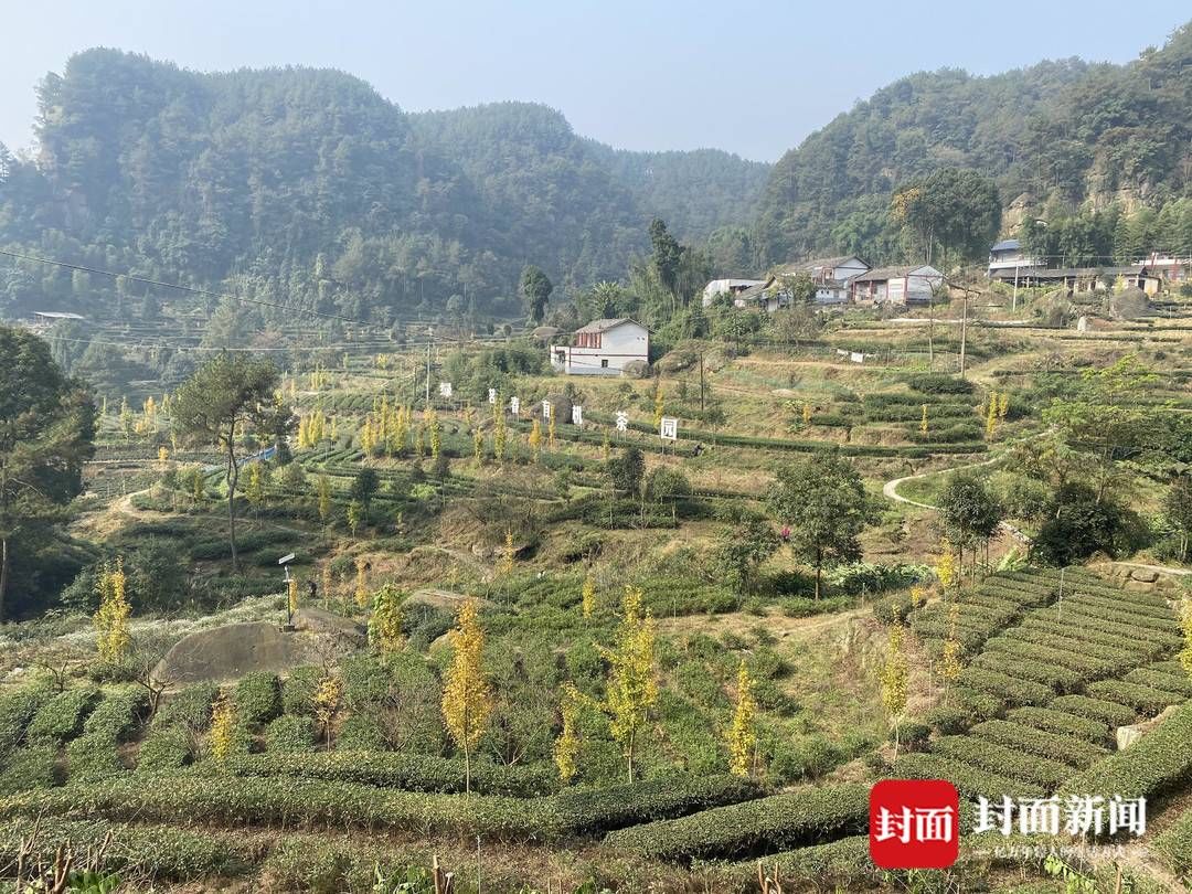 度佳镇|百城行｜青蕉拍客采风活动即将走进四川荣县 “荣县三绝”等你拍出美味儿