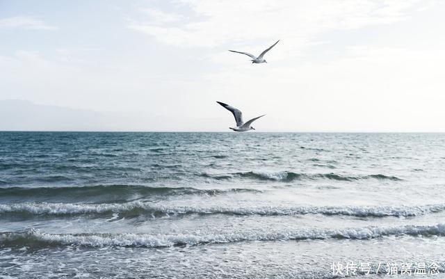 危难|蓝田:危难之中见深情