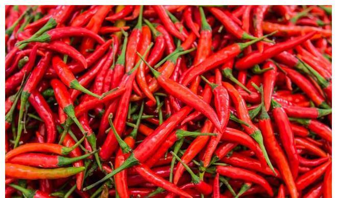 过敏|生病时被告知要忌口“发物”?“发物”究竟是什么?