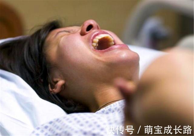 动物|为什么动物生育后代那么轻松,人类分娩时却疼得撕心裂肺?