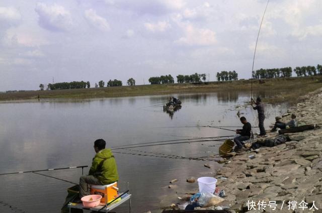 水草|一提冬钓,我只喜欢用这方法对付鲫鱼---皇禾钓具