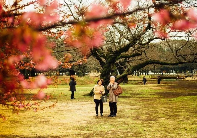 神经细胞|北京医院副院长：很多“病”其实不是病，就是人老了！