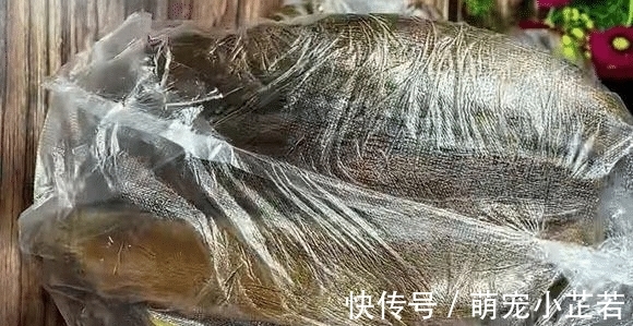 这食材正当季，不晒也不腌，蒸一蒸存到冰箱，冬季炒肉炖汤真美味