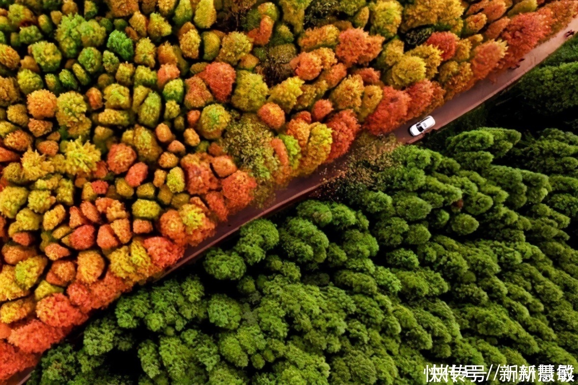 这才应该是我国各省最美打卡地，60岁之前必去，看看你去对了吗