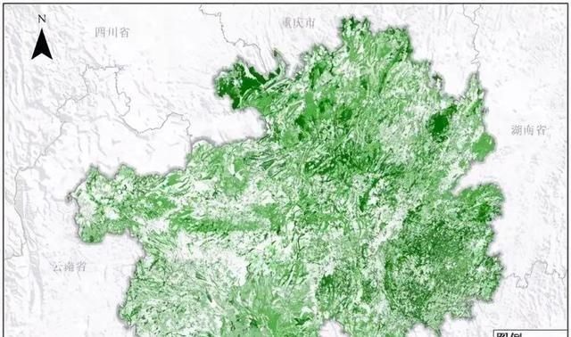 中国特有植物富宁藤|消失20年！贵州再次发现中国特有植物富宁藤，重现意味着什么？