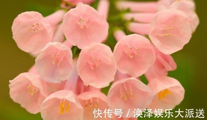 孝顺|孩子出生在阴历这3天,孝顺乖巧出人头地,父母享福生活美好