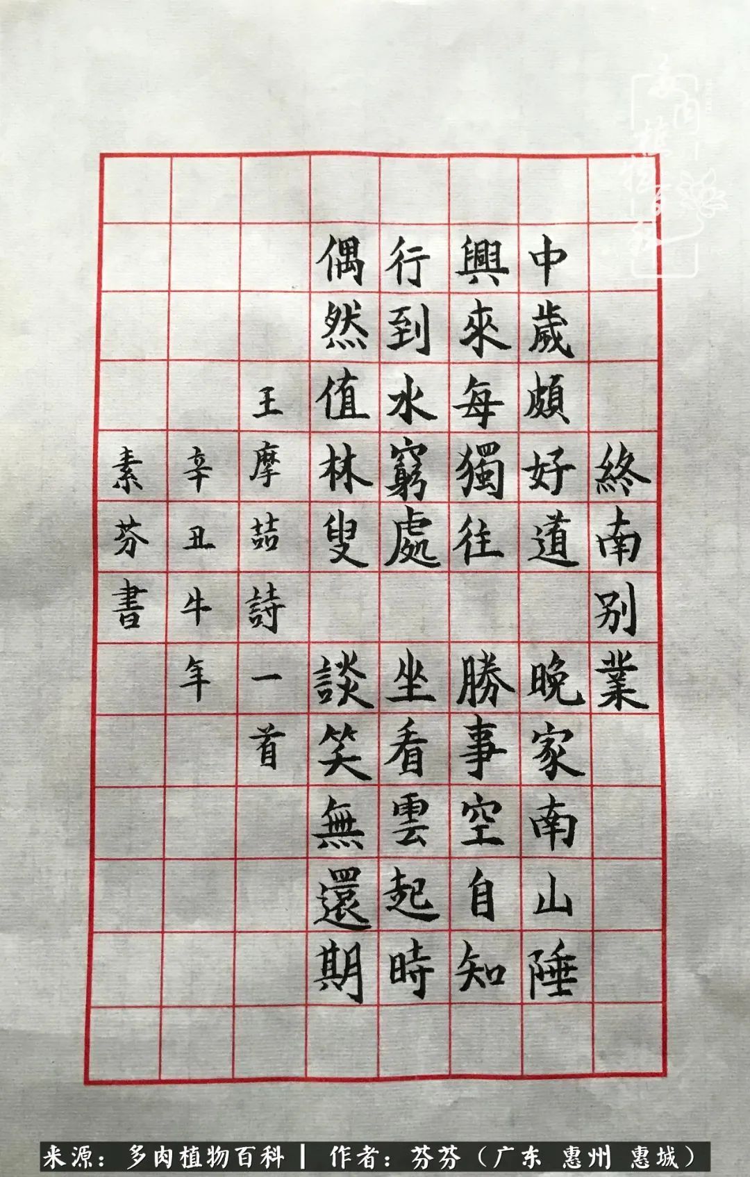 养花|一种爱好就是一种境界，养花养多肉可以培养一个人的心境！