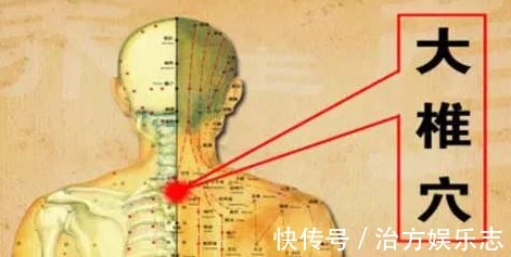 养背是养阳气的总开关,推墙操、滚背操教你提升阳气,受益无穷!