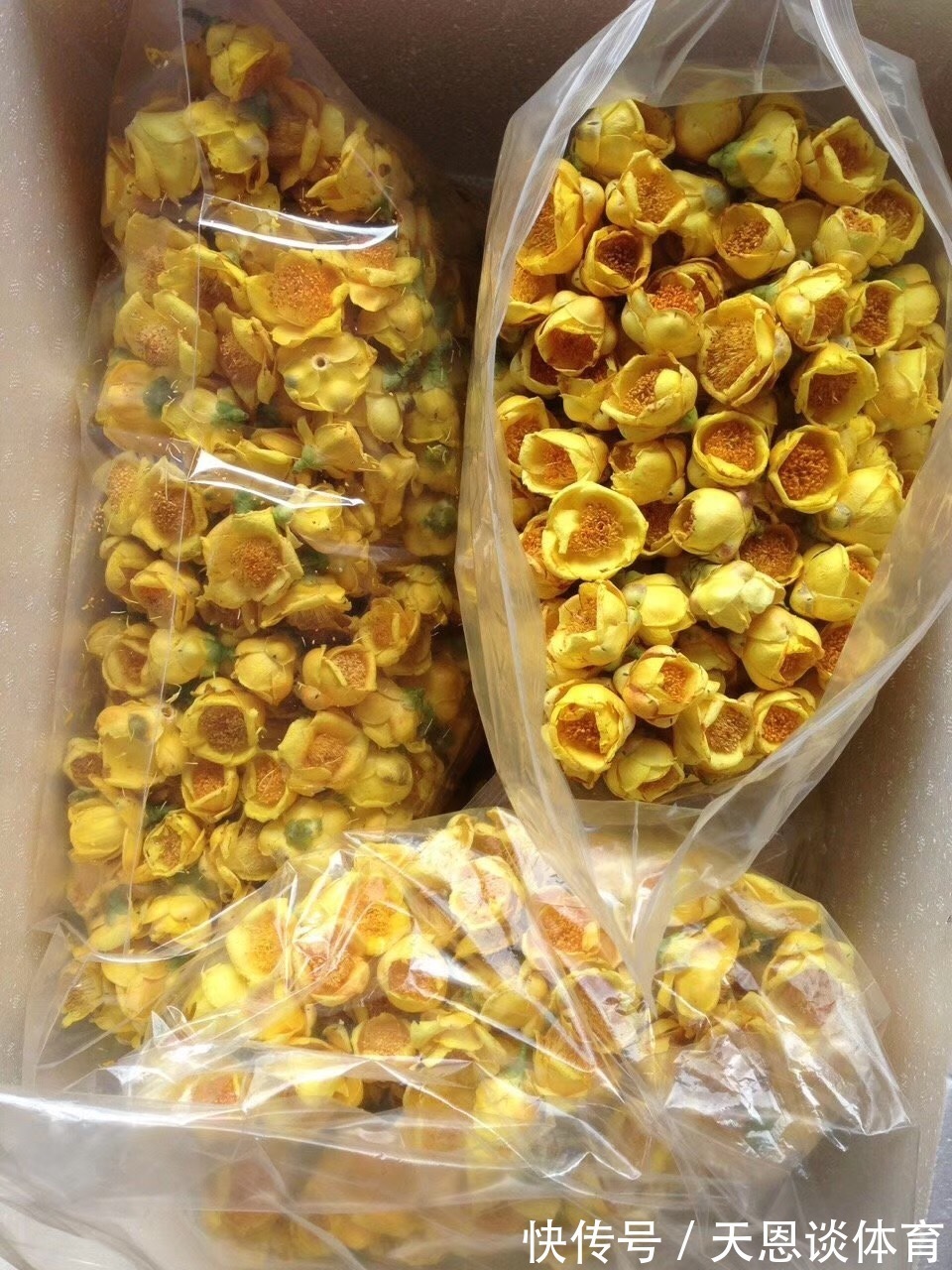 8种“昂贵花”,工薪族“舍不得”买,但是太好看,有钱要买个遍