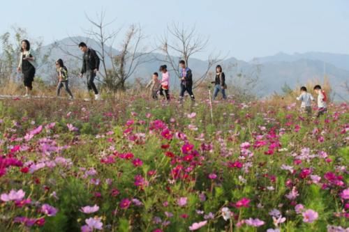 @惠州人 踏青赏花指南来啦