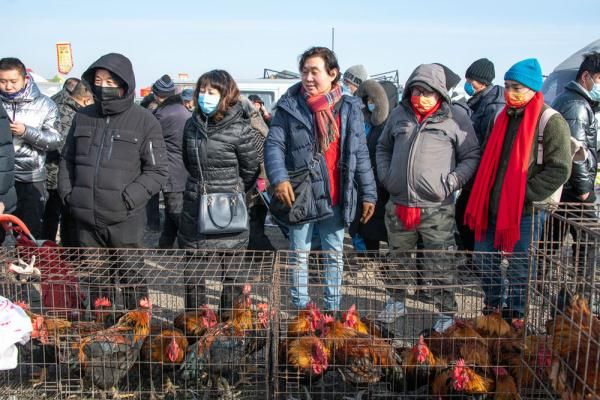 沈北#国际友人逛沈北蒲河大集 寻中国地道年味