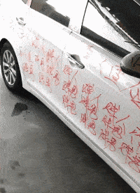 |搞笑GIF:这妹子估计是第一次出远门,准备连人带行李一块托运安检。