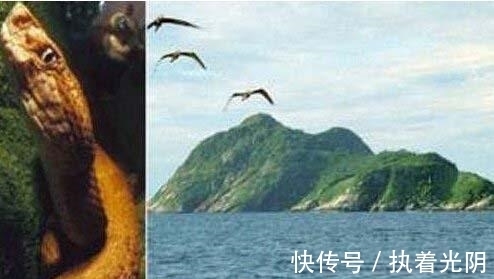 地狱之门|世界上最危险的地方：海拔4600多米“死亡公路”，每年事故200起