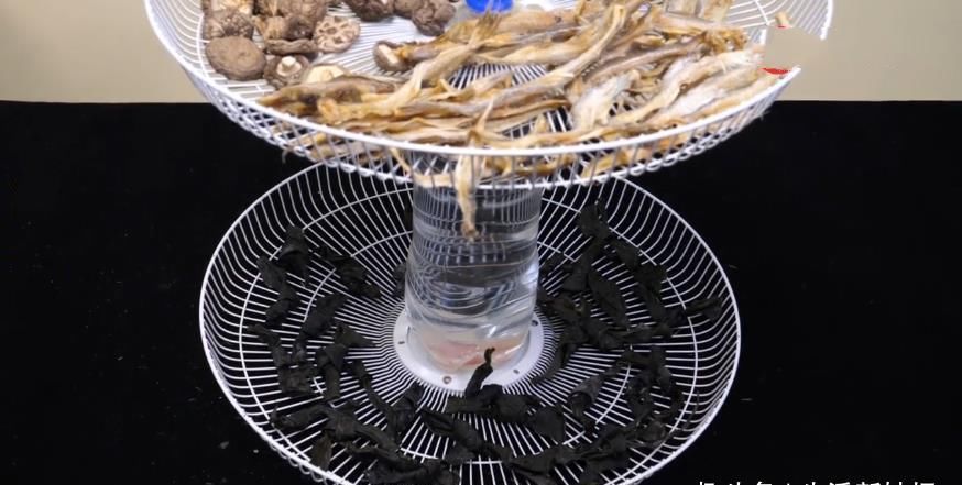 电风扇坏了不要扔，在中间加一个大塑料瓶，全家人看了都夸好