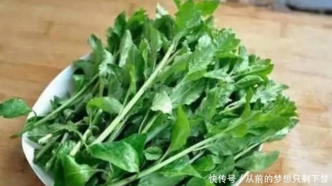 清甜美味|据说这种野菜常在坟地里，如今几十元一斤，要是你你敢去摘吗