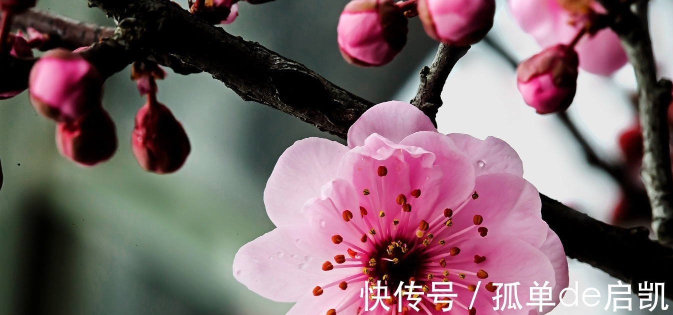 四大名著$唐朝非著名僧人的一首诗,短短28字,就有14字成千古名句