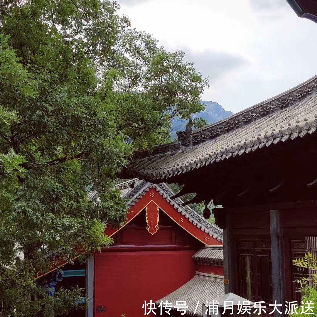 没活明白的人最苦,老禅师对话道出深意,这才是人生的意义!