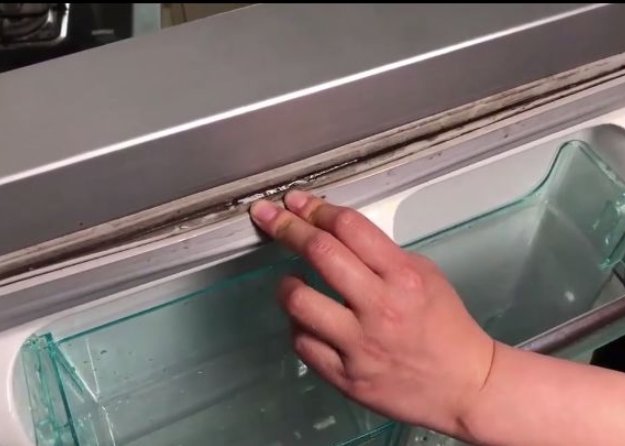 胶条|家里冰箱胶条发霉,别用水擦了!教你1招干净如新!