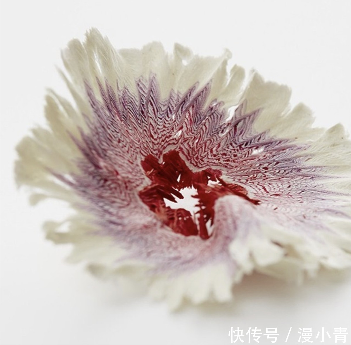 纸花$铅笔也能削出花来,这样的削铅笔达人,应该是一个喜欢二次元的人