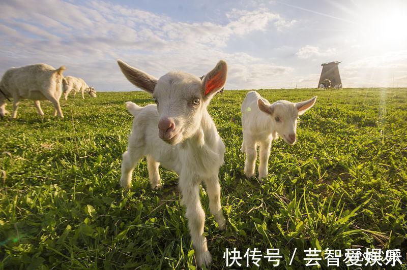 横财|生肖属羊人，在8月里，喜事接二连三，横财多多，金银满地