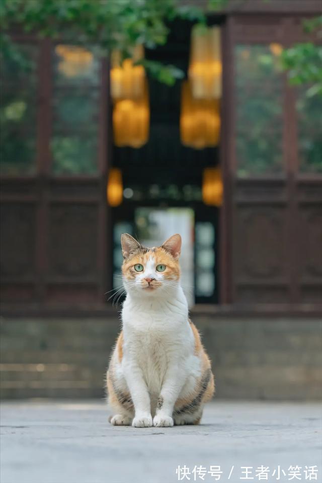 |「被窝段子0925」发脾气 只表示您的智慧不足以解决您所面临的问题