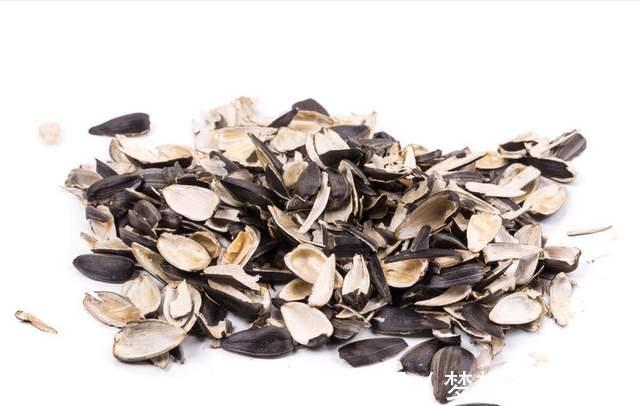 君子兰这样养,不黄叶不烂根,叶绿花艳,开花多